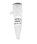 dNTP Mix (10 mM) - Click Image to Close